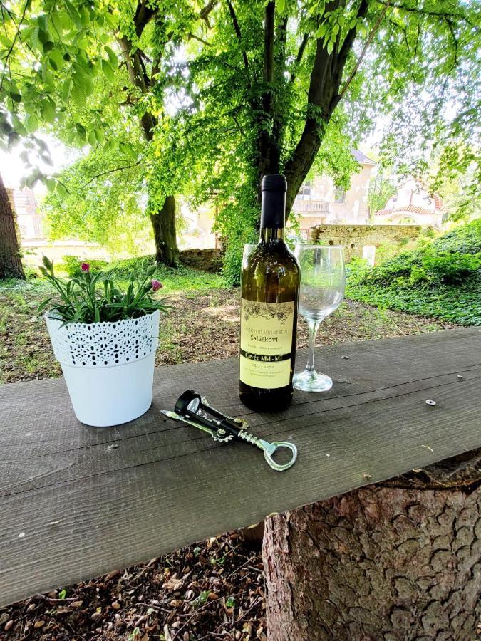 Chateau Moravany - Apartmany, Teepee A Wellness Ronov Nad Doubravou Zewnętrze zdjęcie