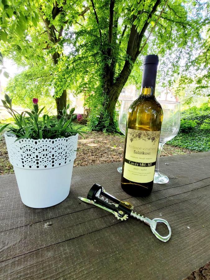 Chateau Moravany - Apartmany, Teepee A Wellness Ronov Nad Doubravou Zewnętrze zdjęcie